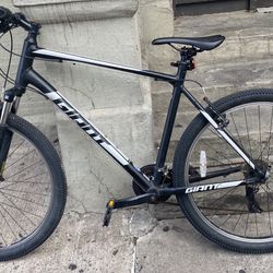 Giant Bike
