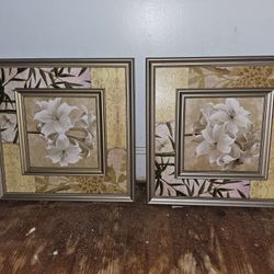 Pictures