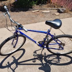 Schwinn 21 Speed