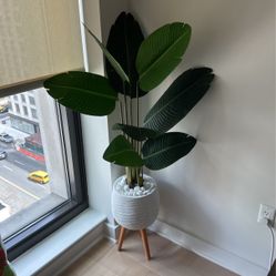 Fake Plant 