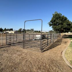 Cattle Panels 