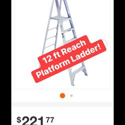 Platform Ladder P367