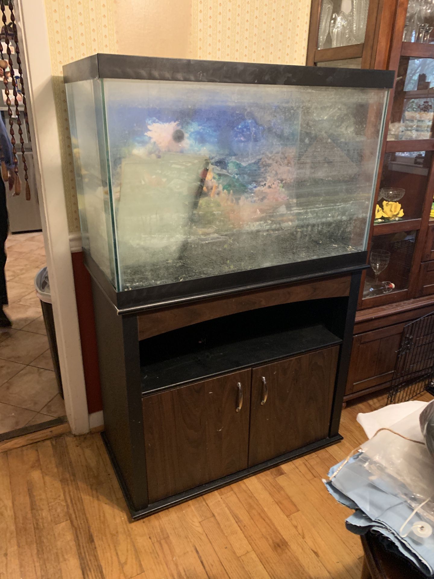 55 Gallon Fish Thank W/stand And Supplies
