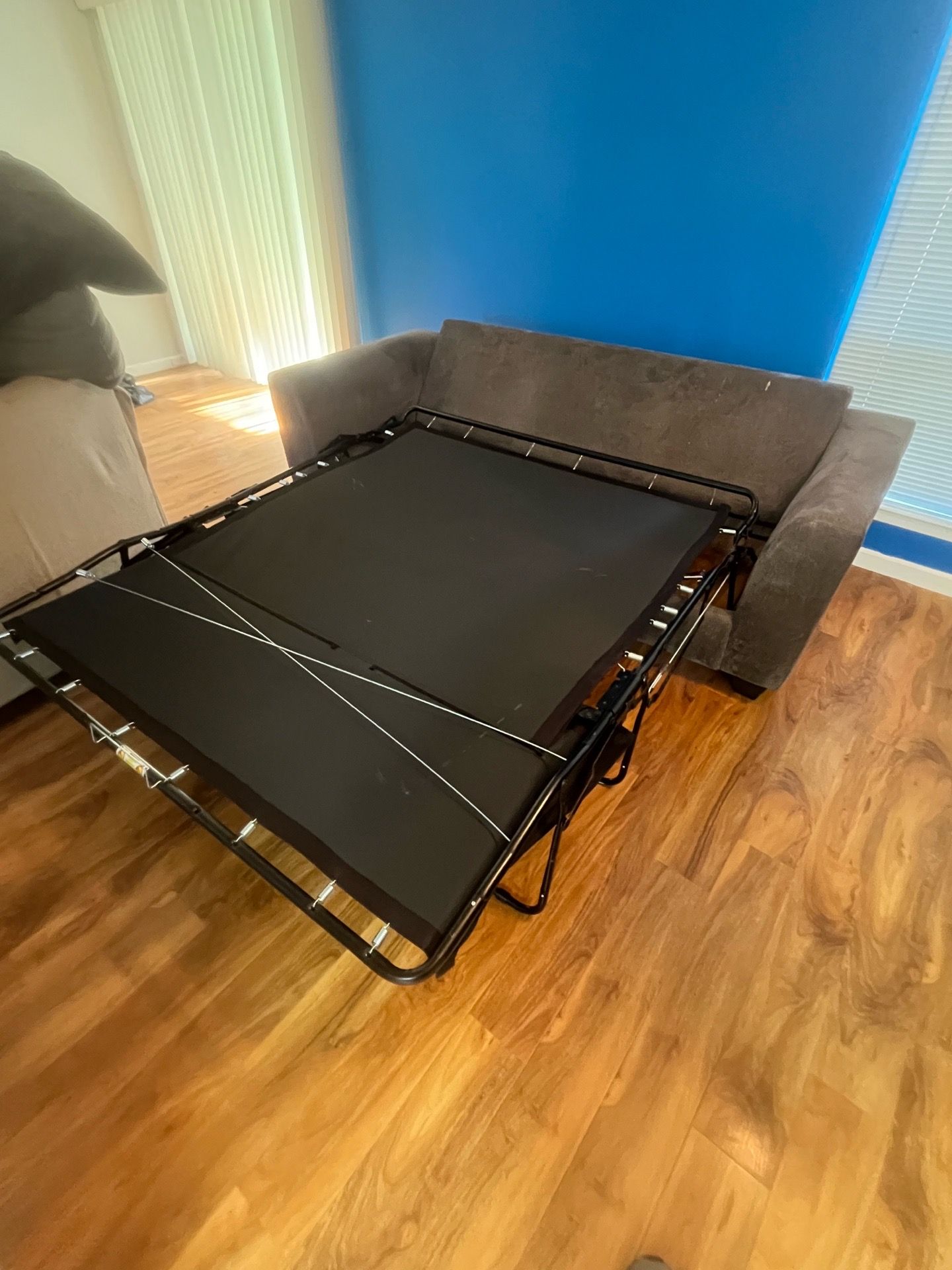Pull out couch
