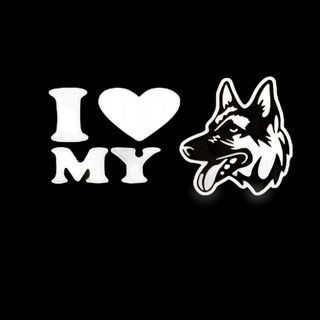White Vinyl Decal 2” X 6”