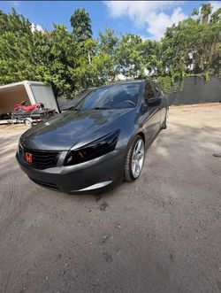 Honda accord 2010