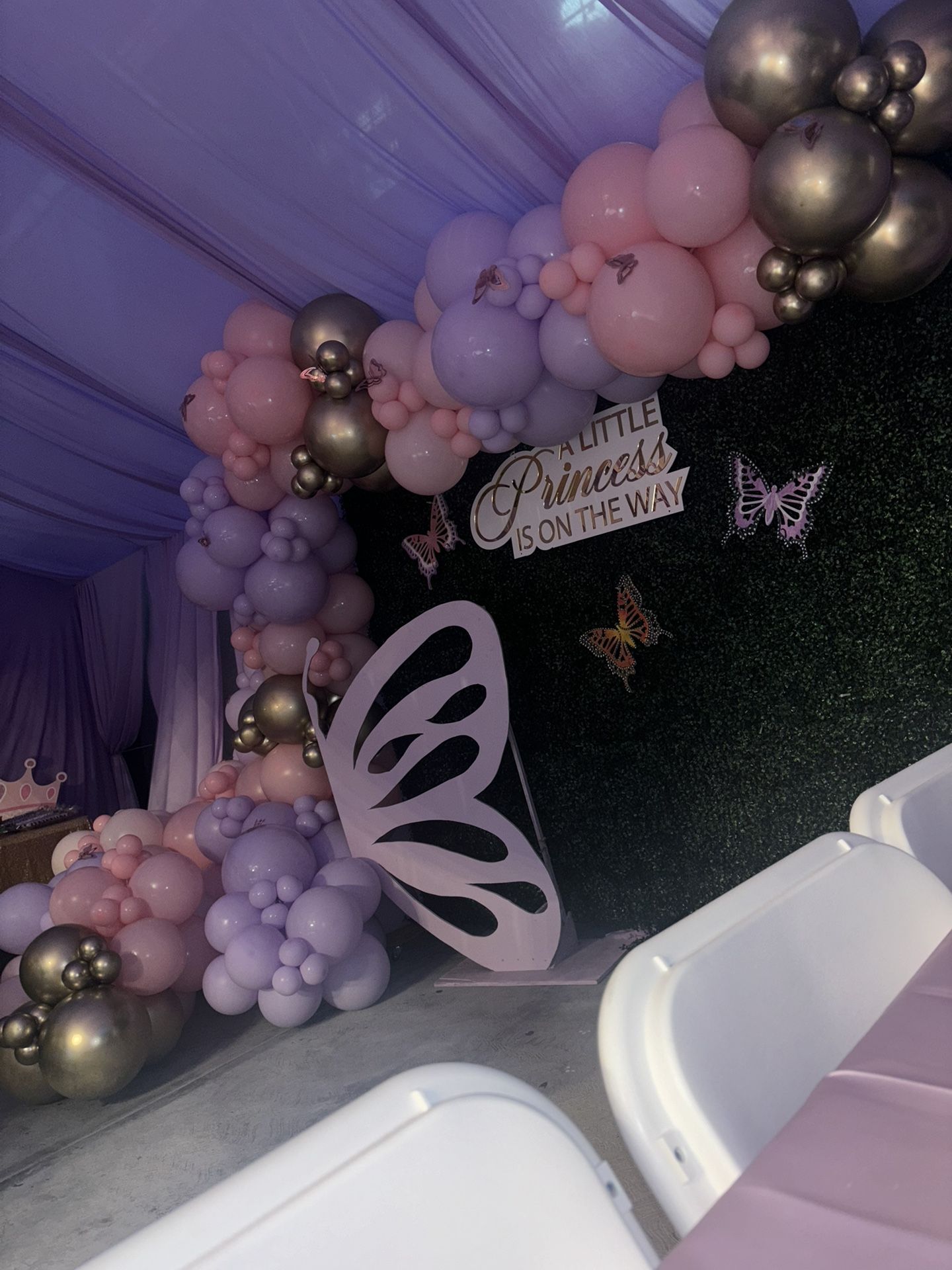 Butterfly Balloon And Grass Backdrop