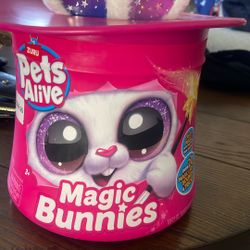 Magic Bunnies 