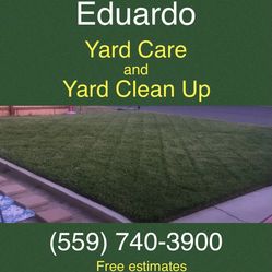 Yard Clean Up and Service