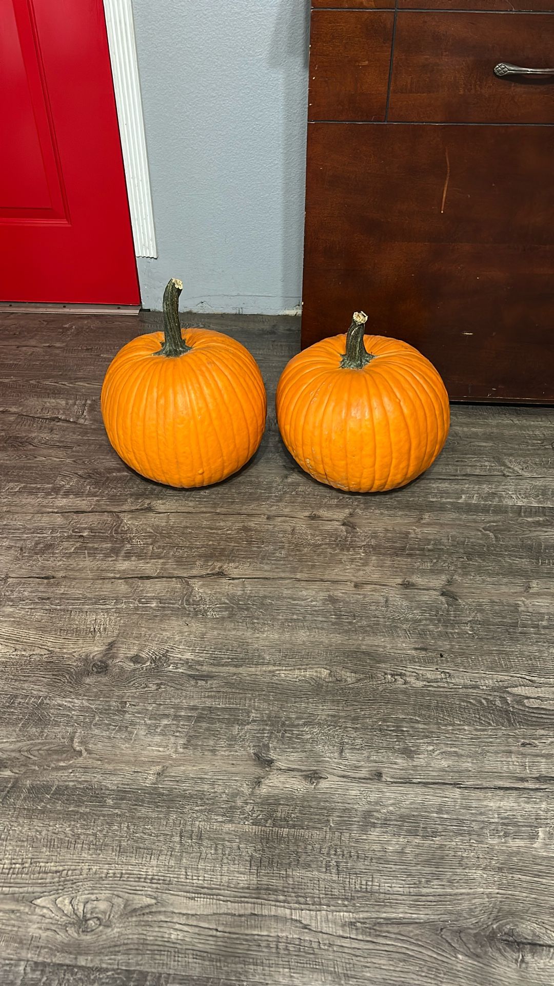 Fresh Pumpkins