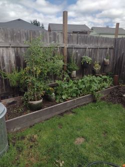 Planter box and hanging garden all in one
