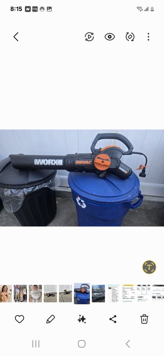 WORX LEAF BLOWER AND MULCHES LEAVES