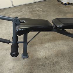 Adjustable Bench Press Weights Included