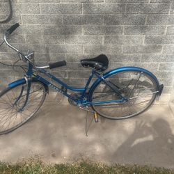 Schwinn Suburban Bicycle
