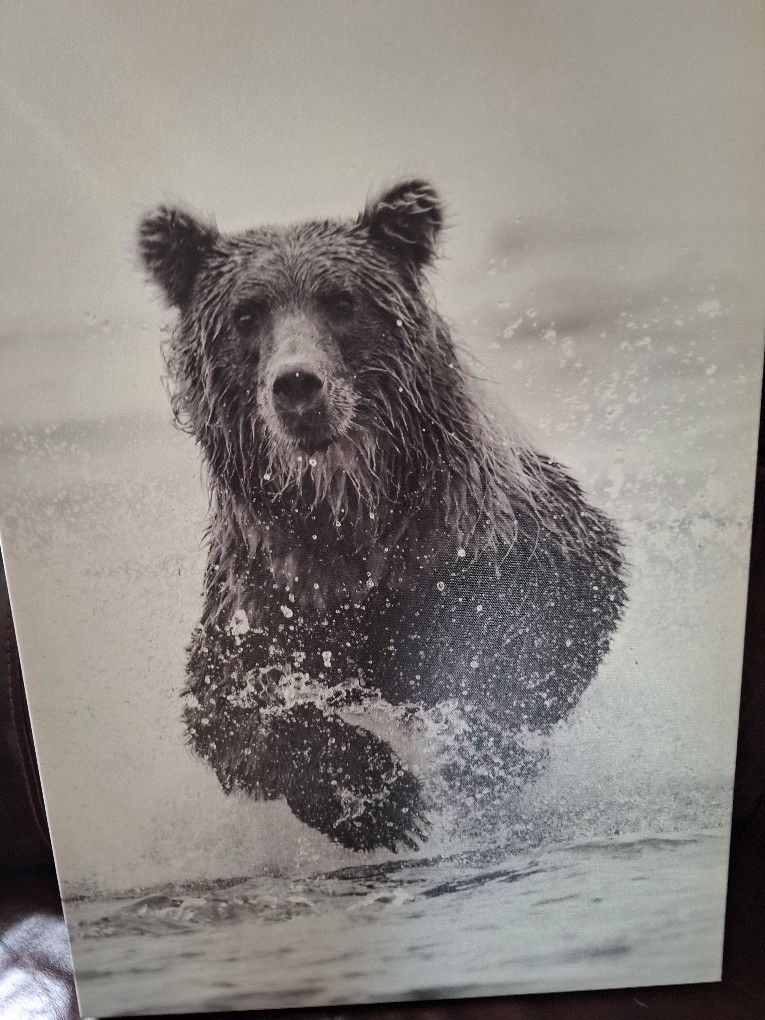 Bear Canvas Wall  Art
