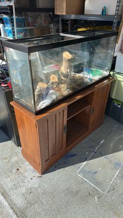 55 galllon aquarium w/ stand