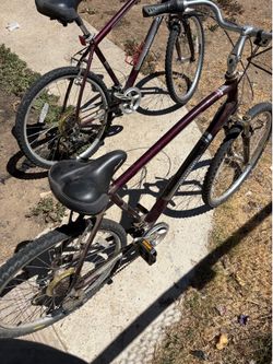 2 adult bikes