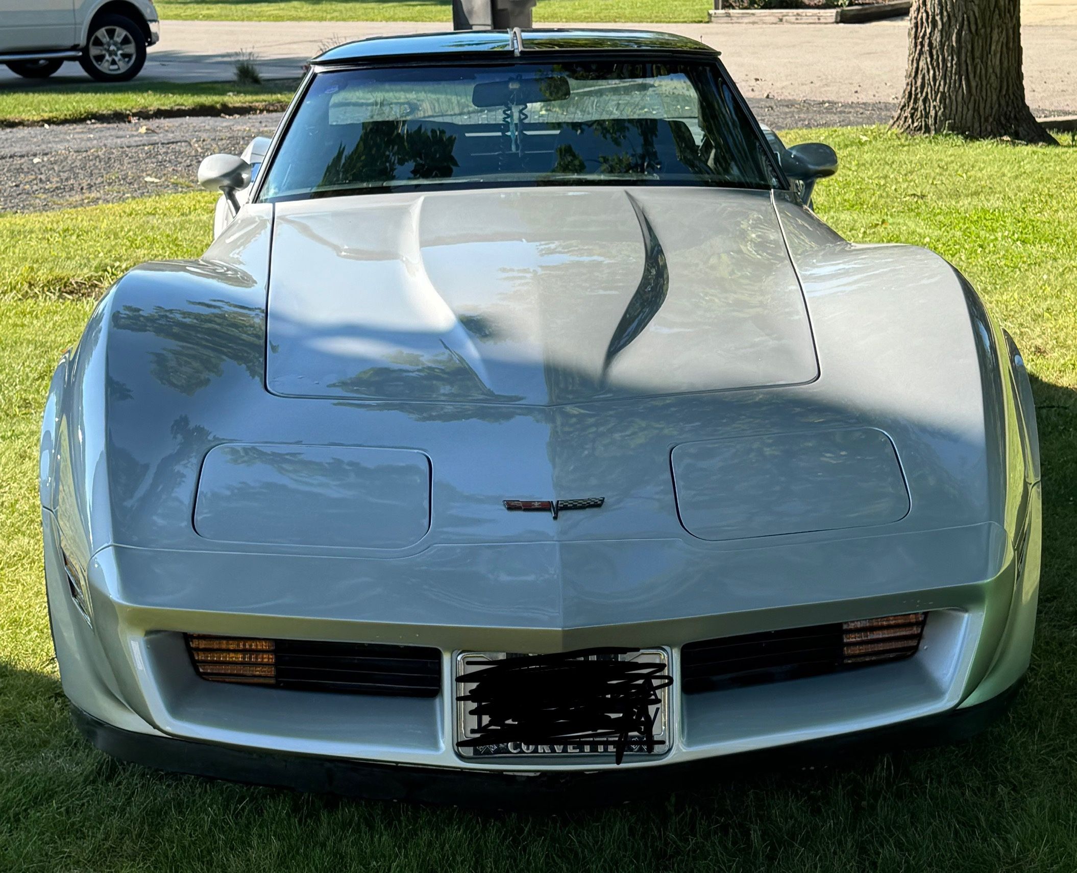 1981 Chevrolet Corvette