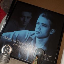 8 By 10 Canvas Picture Framed