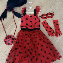 Miraculous Ladybug Costume 