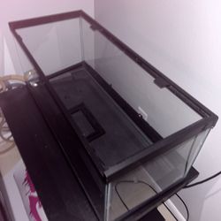 20 Gallon Reptile Tank