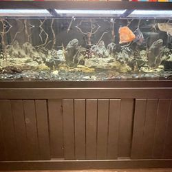 125 Gallon Aquarium (Fish tank)  Thumbnail