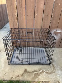 dog crate