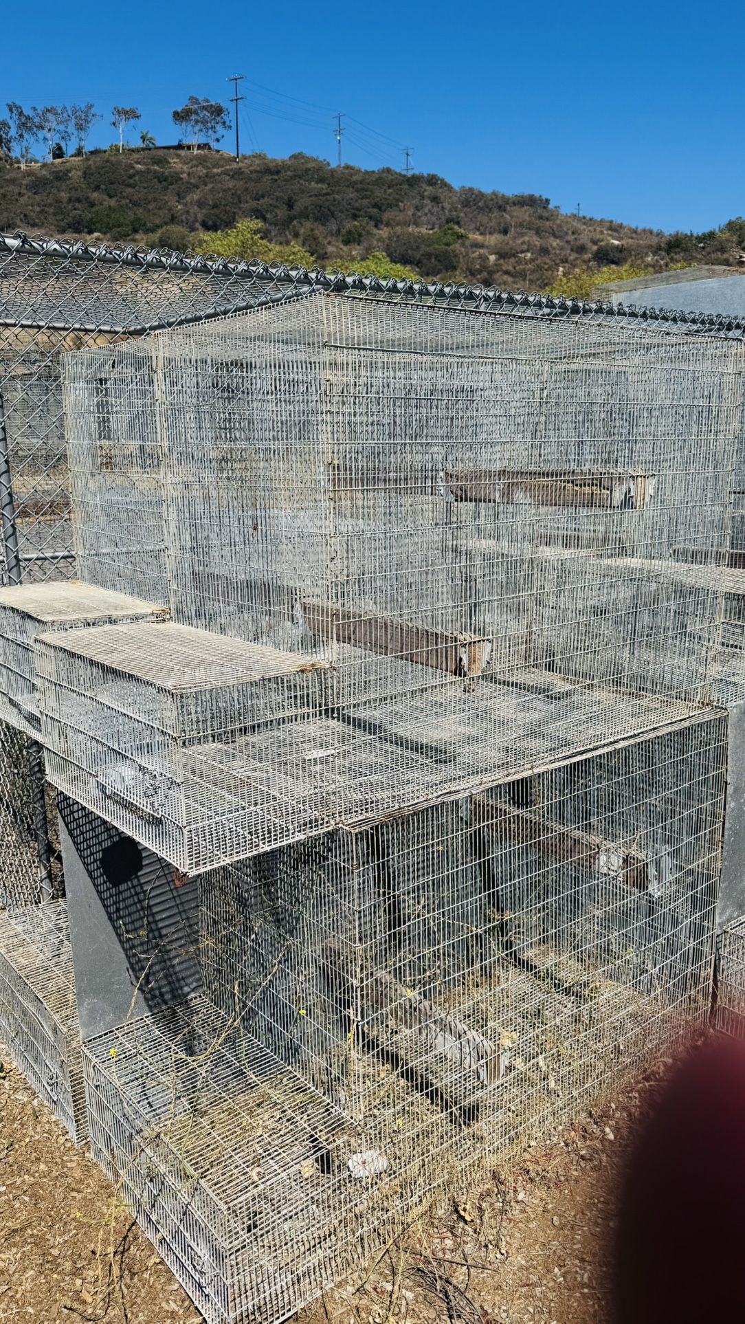 Wire Outdoor Cage