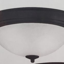 Ceiling light 11 inch matte black