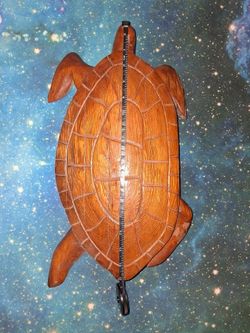 Driftwood sea turtle