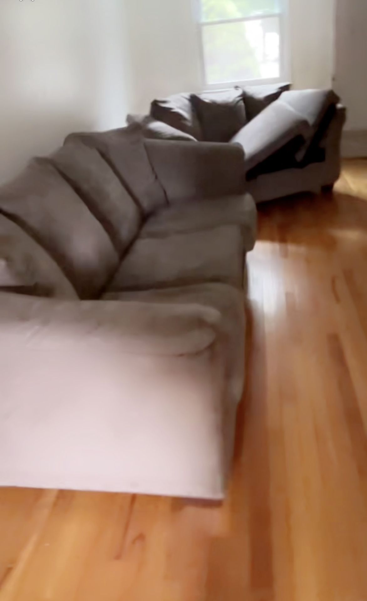 Gray Couch / Sleeper