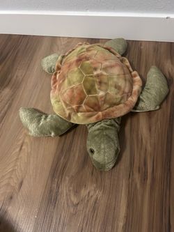 Sea turtle
