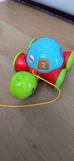 Pull along turtle