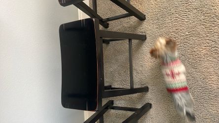 Bar Stool