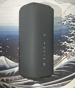 Sony XE300 Portable Bluetooth Speaker