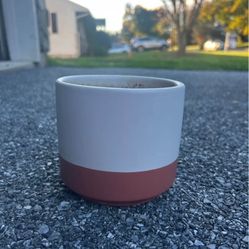 Plant Pot Diameter 4 1/2 Inch