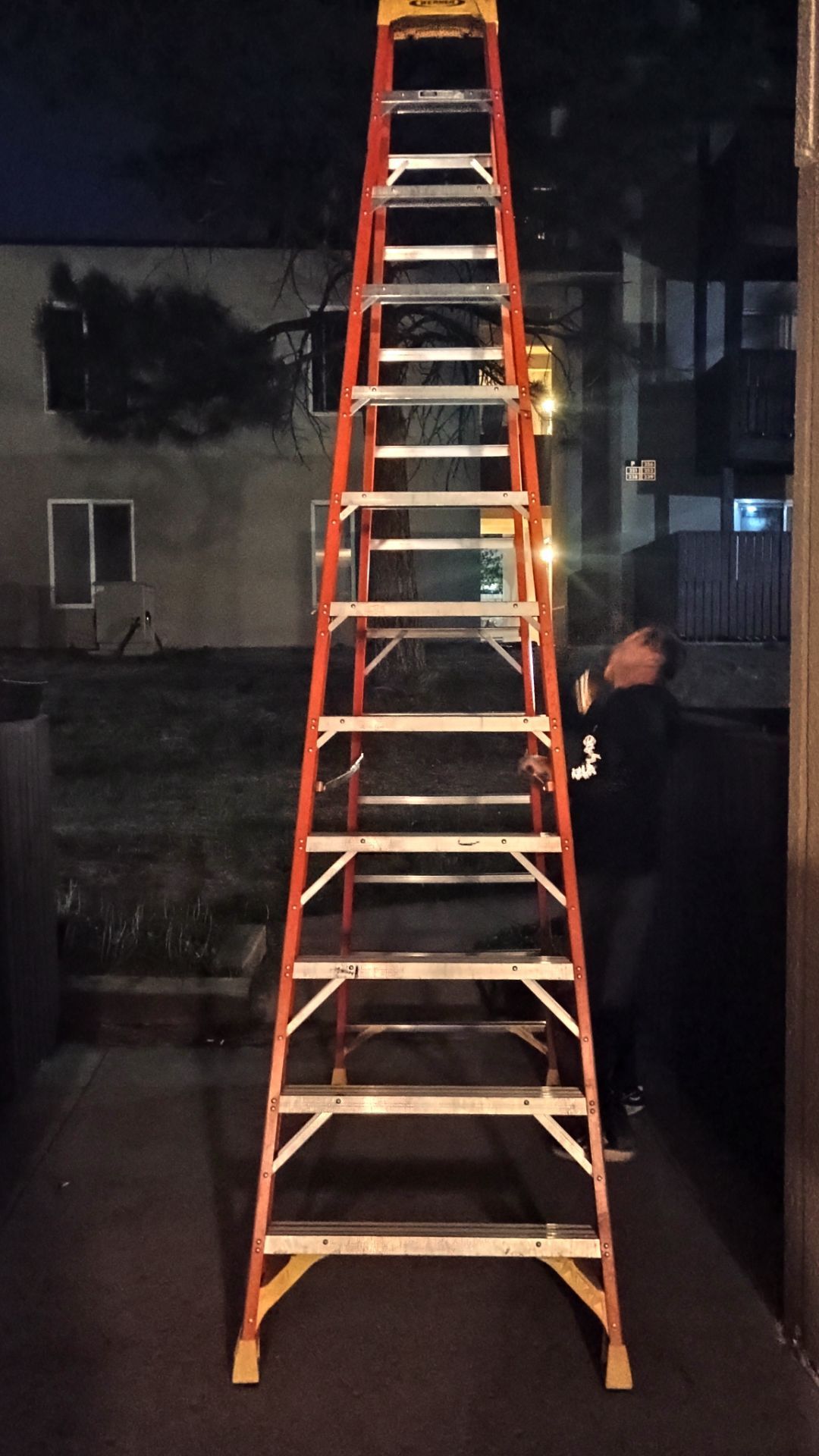 12 Foot Werner Ladder $150