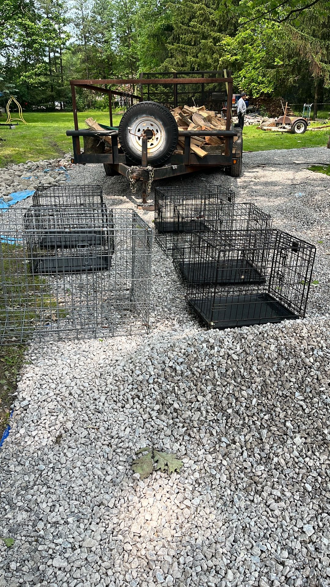 Dog Cages