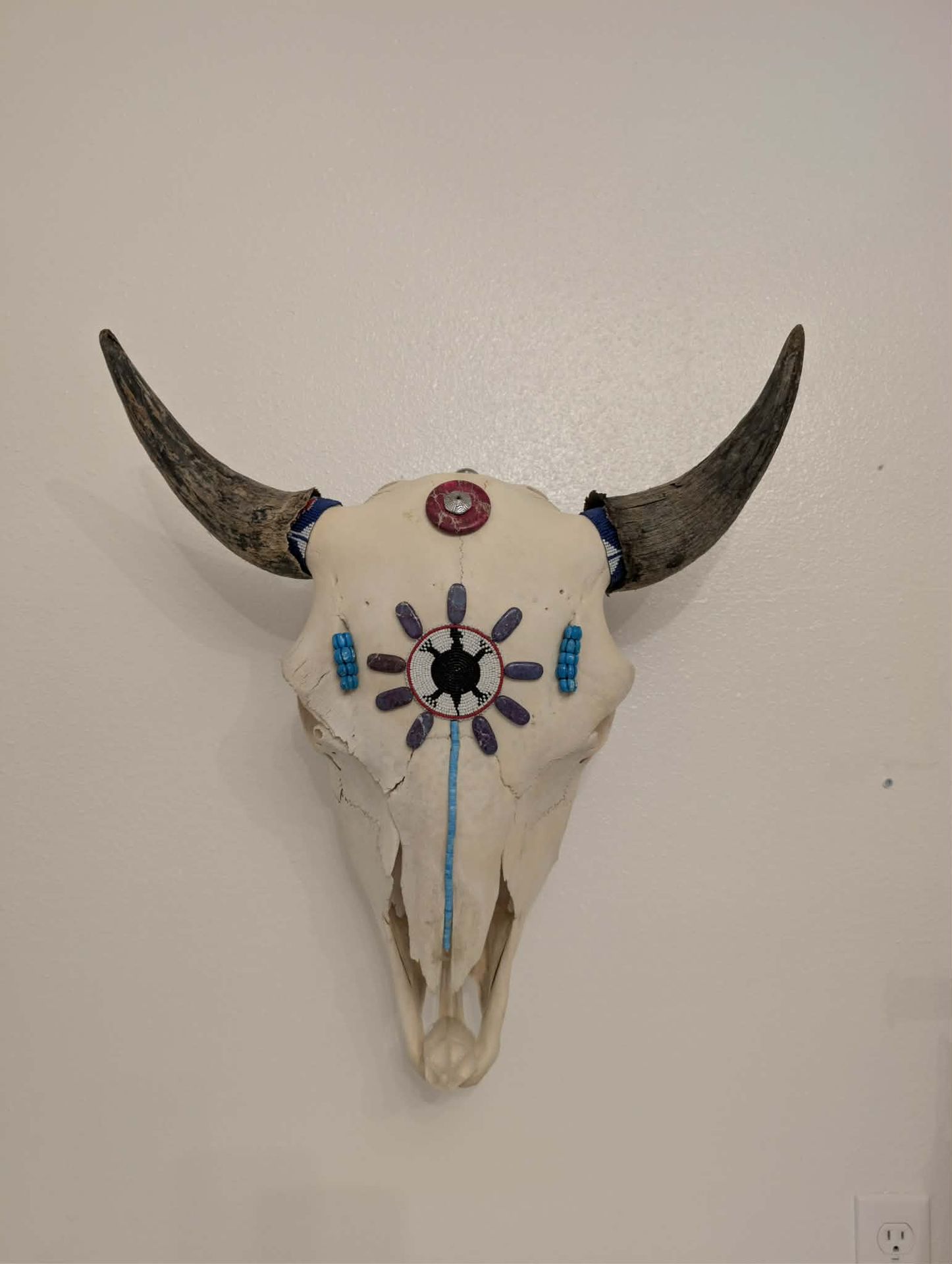Real Cow Skull with Beadwork