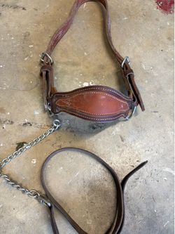 Bull Show halter