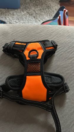 Dog harness