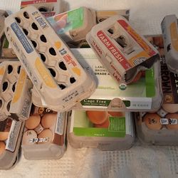 Free Cardboard Egg Cartons