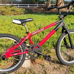 Redline Raid Junior BMX