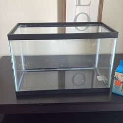 Fish Tank 