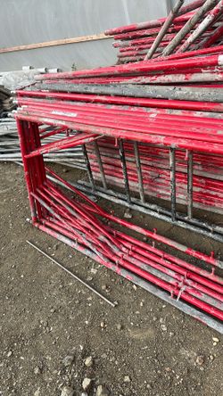 Scaffold