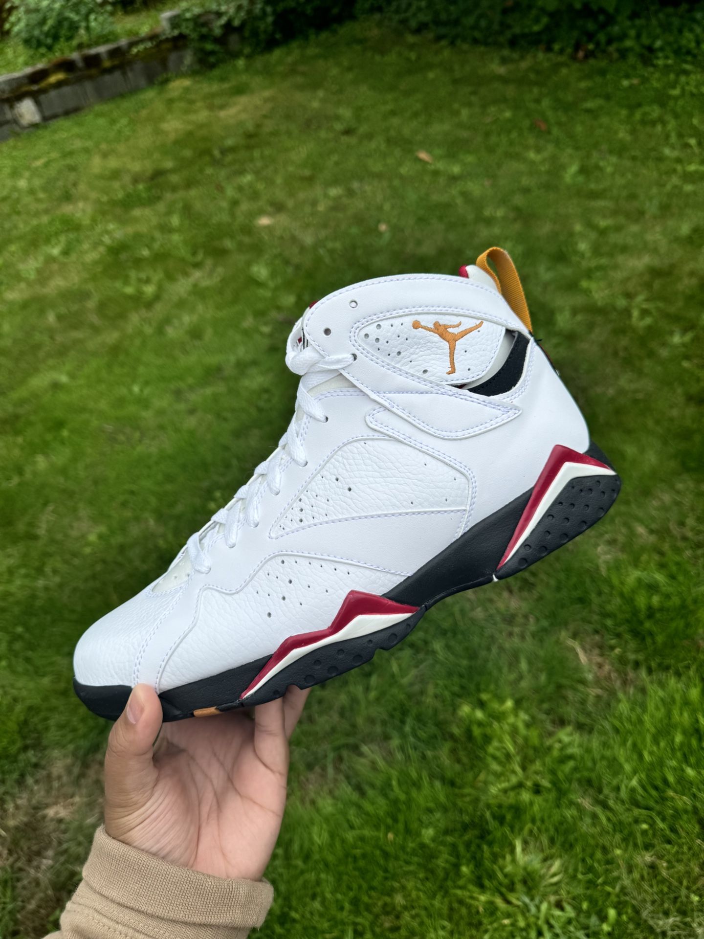 観賞用】NIKE AIR JORDAN 7 