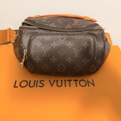 LV Bag