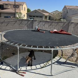 Trampoline 