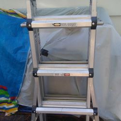 Multi Position Telescoping/Folding Ladder