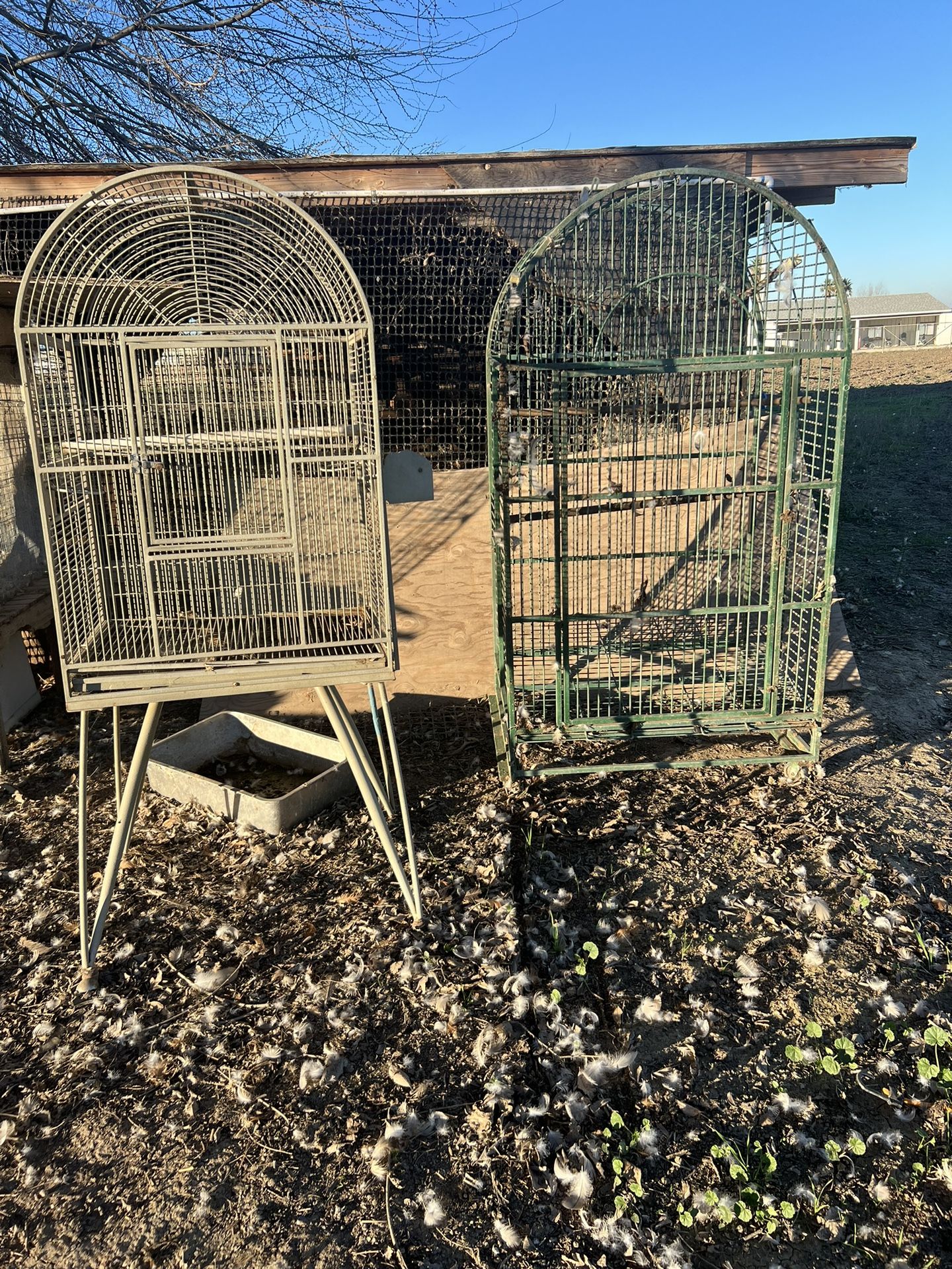Bird Cages Big 